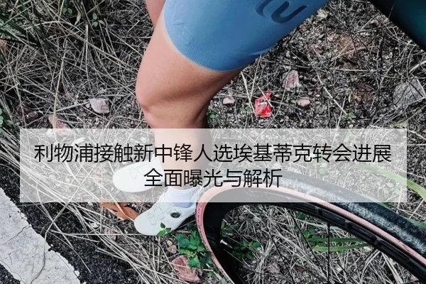 利物浦接触新中锋人选埃基蒂克转会进展全面曝光与解析